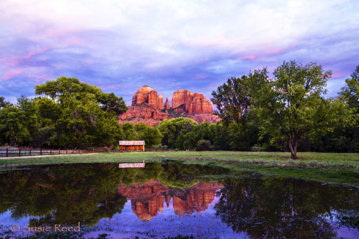 Cathedral Rock and a pink evening sky reflected in a pasture pond beside an old barn in Sedona, Arizona